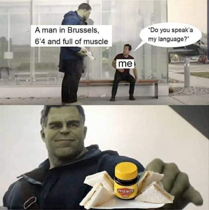 hulk giving taco meme template - A man in Brussels, 6'4 and full of muscle "Do you speak'a my language?" me Vegemite