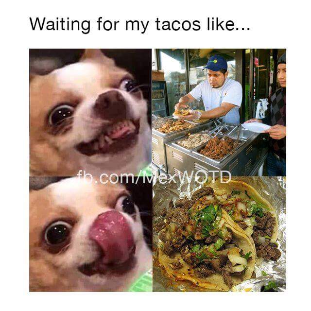 photo caption - Waiting for my tacos ... fb.comveXWOTD