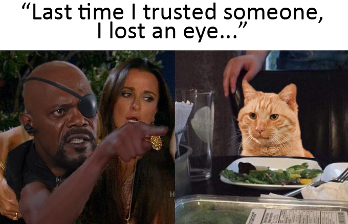 woman yelling at cat meme remote control - "Last time I trusted someone, I lost an eye..."
