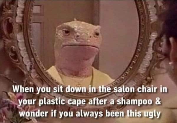 have i always been this ugly meme - When you sit down in the salon chair in your plastic cape after a shampoo & wonder if you always been this ugly