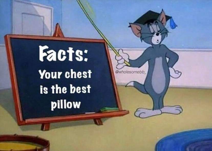 tom and jerry teaching - Gwholesomebb Facts Your chest is the best pillow