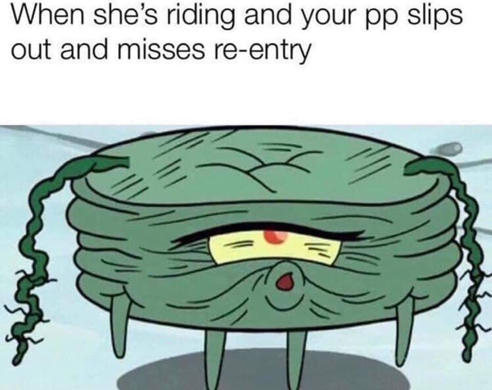 pp memes - When she's riding and your pp slips out and misses reentry