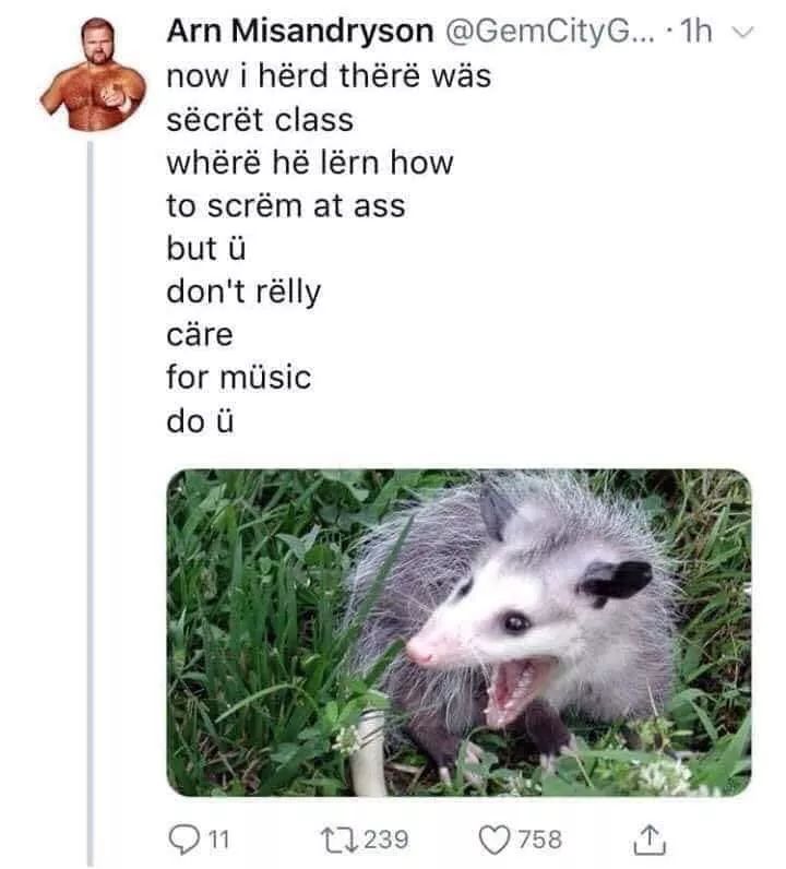 opossum scream at ass hallelujah - Arn Misandryson G... 1h v now i hrd thr was scrt class whr h lrn how to scrm at ass but don't rlly care for music do 11 12239 758 1