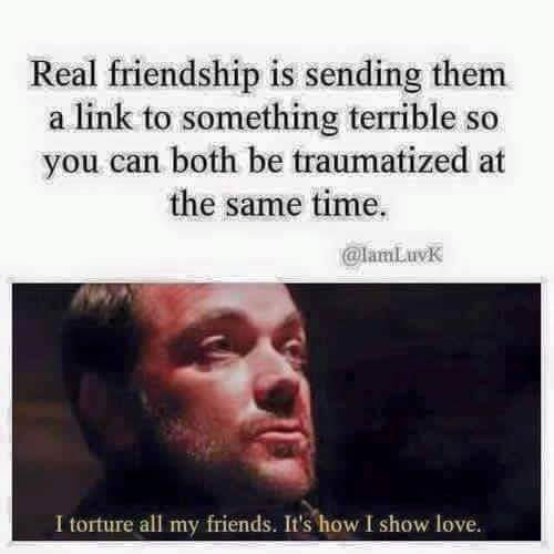 sending memes to friends - Real friendship is sending them a link to something terrible so you can both be traumatized at the same time. I torture all my friends. It's how I show love.