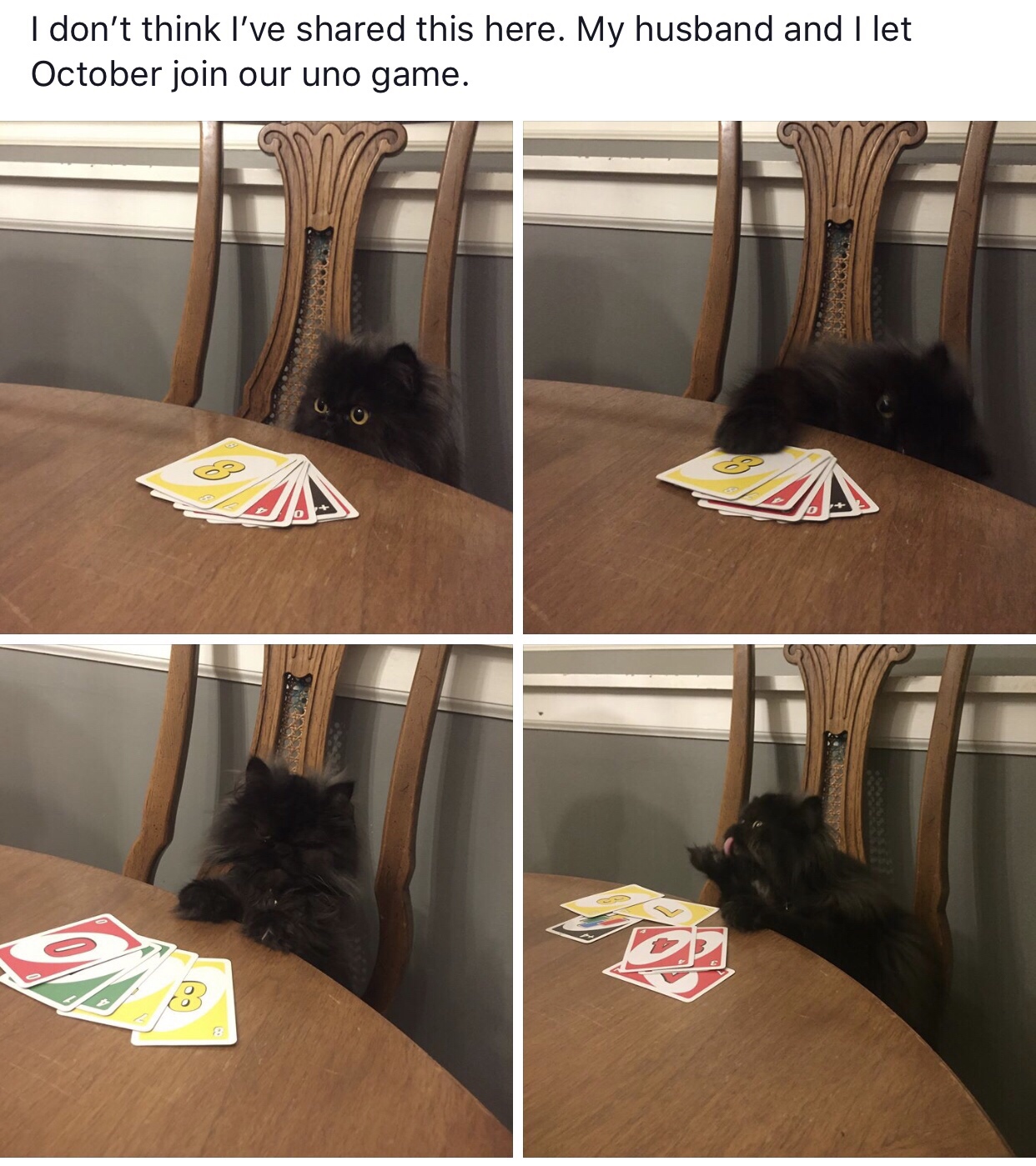 room - I don't think I've d this here. My husband and I let October join our uno game.