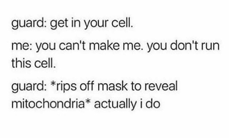 Internet meme - guard get in your cell. me you can't make me. you don't run this cell. guard rips off mask to reveal mitochondria actually i do