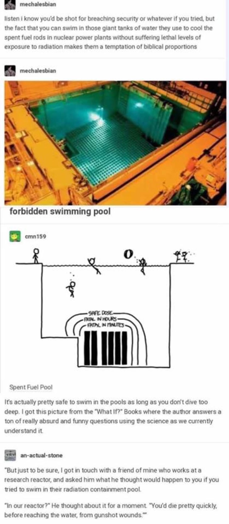 spent fuel pool - mechalesbian listen i know you'd be shot for breaching security or whatever if you tried, but the fact that you can swim in those giant tanks of water they use to cool the spent fuel rods in nuclear power plants without suffering lethal 