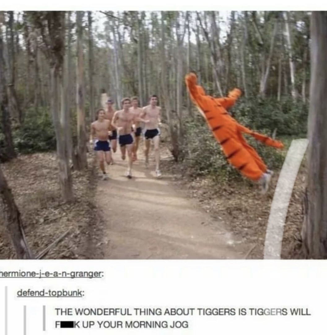 tigger funny - hermionejeangranger defendtopbunk The Wonderful Thing About Tiggers Is Tiggers Will Fok Up Your Morning Jog