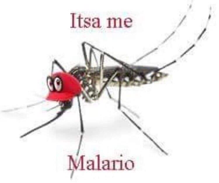 itsa me malario