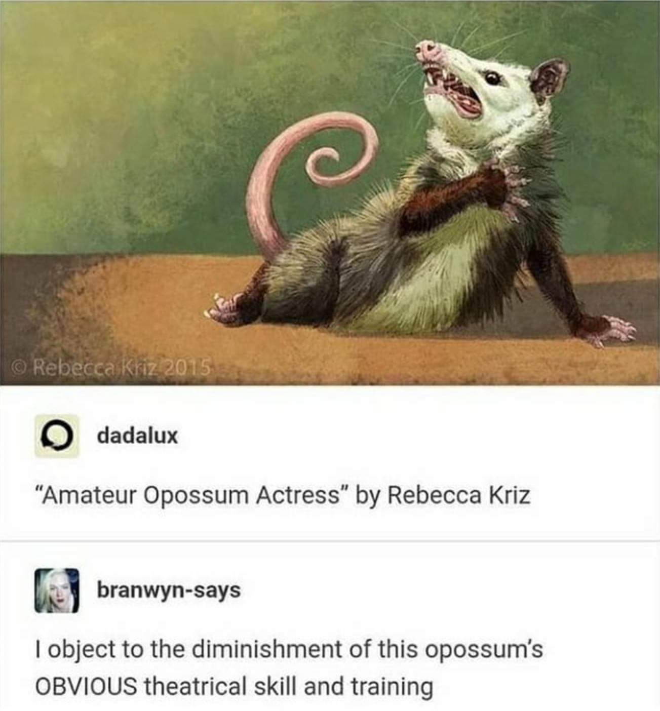 amateur opossum actress by rebecca kriz - Rebecca Kriz 2015 dadalux "Amateur Opossum Actress" by Rebecca Kriz branwynsays I object to the diminishment of this opossum's Obvious theatrical skill and training