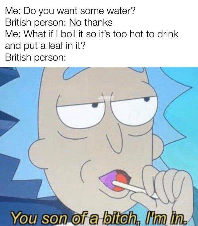 Internet meme - Me Do you want some water? British person No thanks Me What if I boil it so it's too hot to drink and put a leaf in it? British person You son of a bitch I'm in.