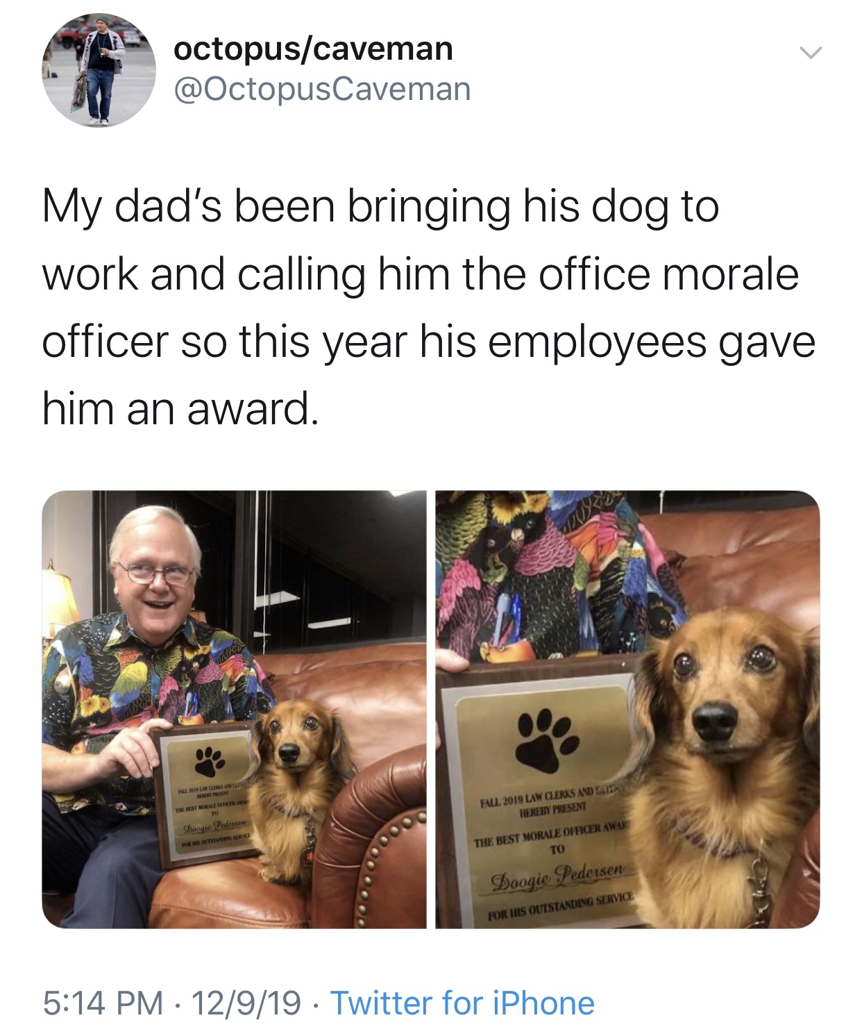 photo caption - octopuscaveman My dad's been bringing his dog to work and calling him the office morale officer so this year his employees gave him an award. N I Langes And Tinst Norme Trouw Doogie Pedersen Portstag So Fall 2019 Law Clerks And Cairy Hereb