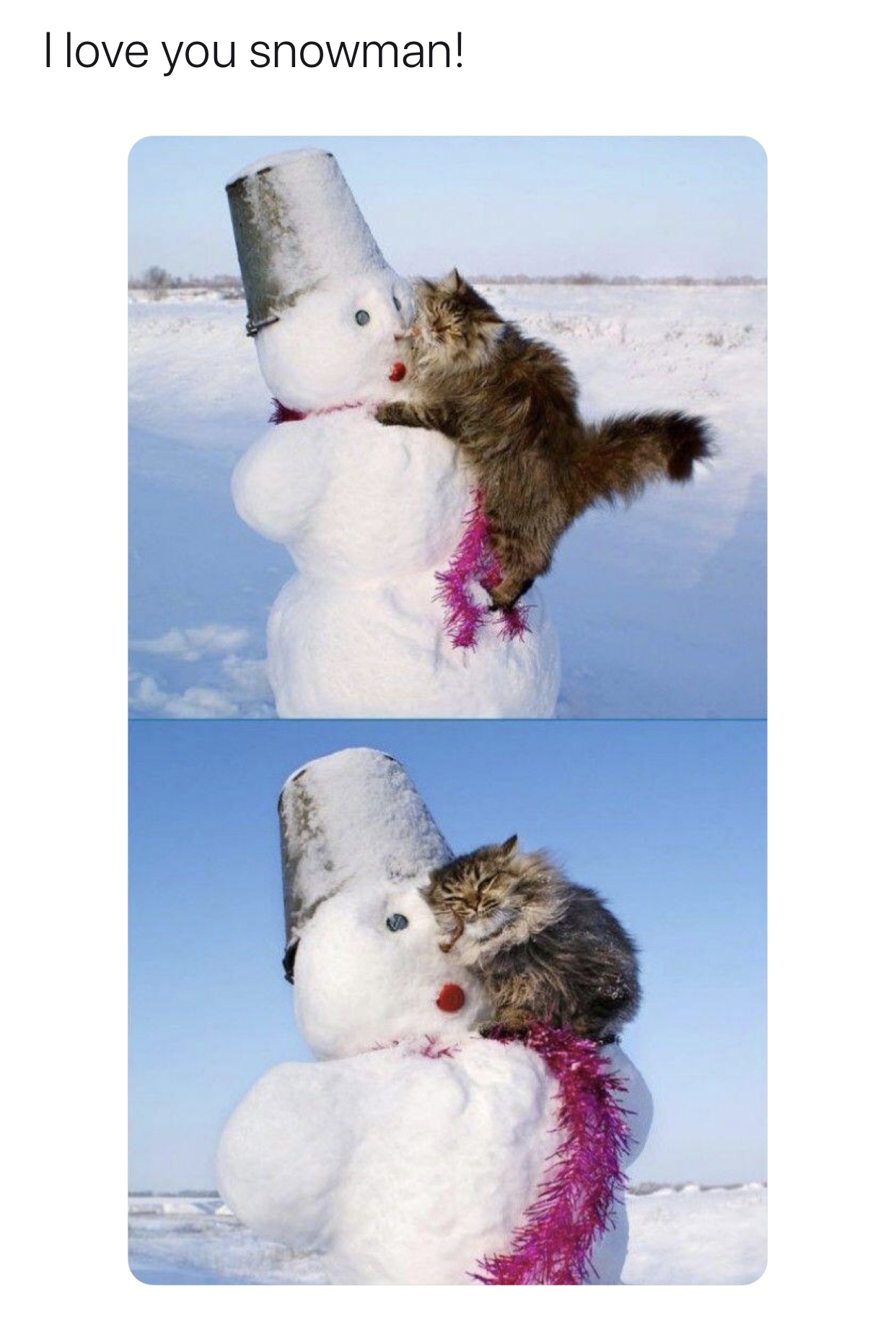 snowman with cat - I love you snowman!