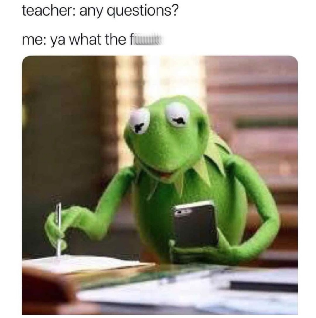 funny saturday memes - teacher any questions? me ya what the fimus