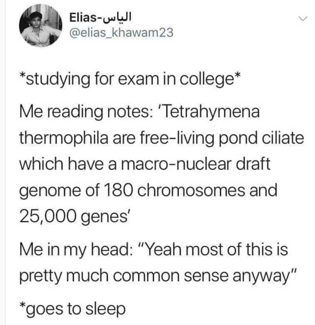 Elias khawam23 studying for exam in college Me reading notes 'Tetrahymena thermophila are freeliving pond ciliate which have a macronuclear draft genome of 180 chromosomes and 25,000 genes' Me in my head "Yeah most of this is pretty much common sense…