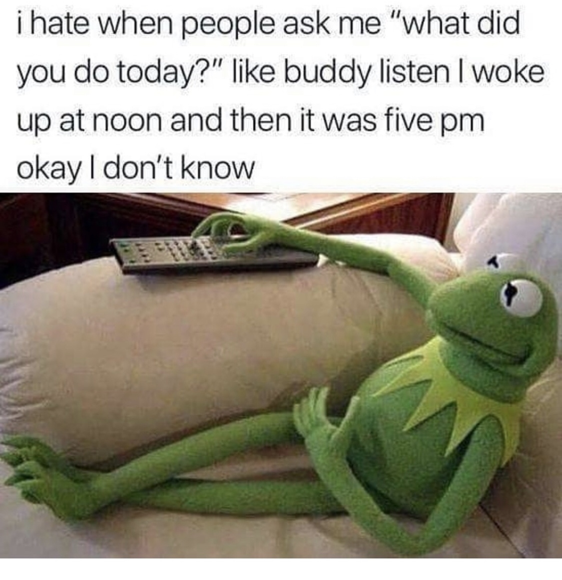 sassy kermit the frog meme - i hate when people ask me "what did you do today?" buddy listen I woke up at noon and then it was five pm okay I don't know