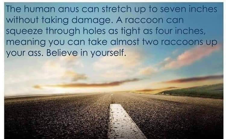 The human anus can stretch up to seven inches without taking damage. A raccoon can squeeze through holes as tight as four inches, meaning you can take almost two raccoons up your ass. Believe in yourself.