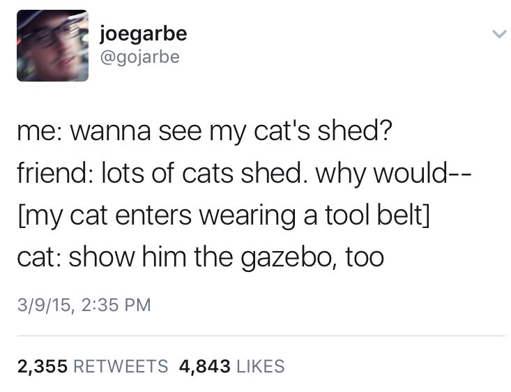 stephen king troll donald trump - joegarbe me wanna see my cat's shed? friend lots of cats shed. why would my cat enters wearing a tool belt cat show him the gazebo, too 3915, 2,355 4,843