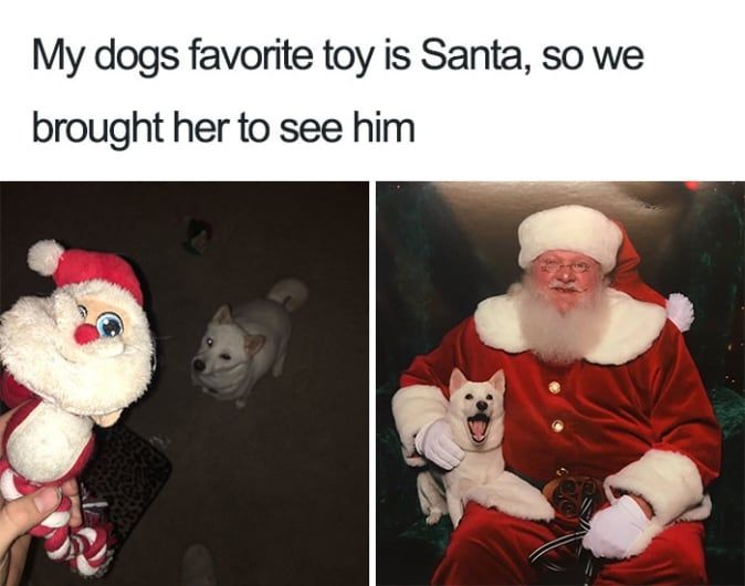 merry christmas meme hilarious - My dogs favorite toy is Santa, so we brought her to see him