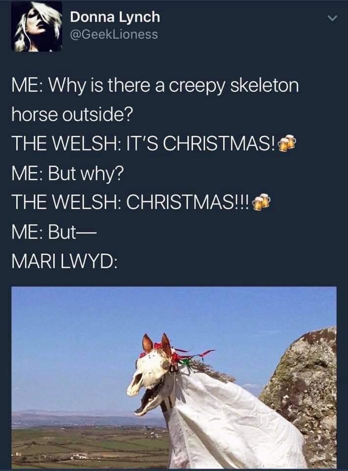 welsh skeleton horse - Donna Lynch Me Why is there a creepy skeleton horse outside? The Welsh It'S Christmas! A Me But why? The Welsh Christmas!!! Me But, Mari Lwyd