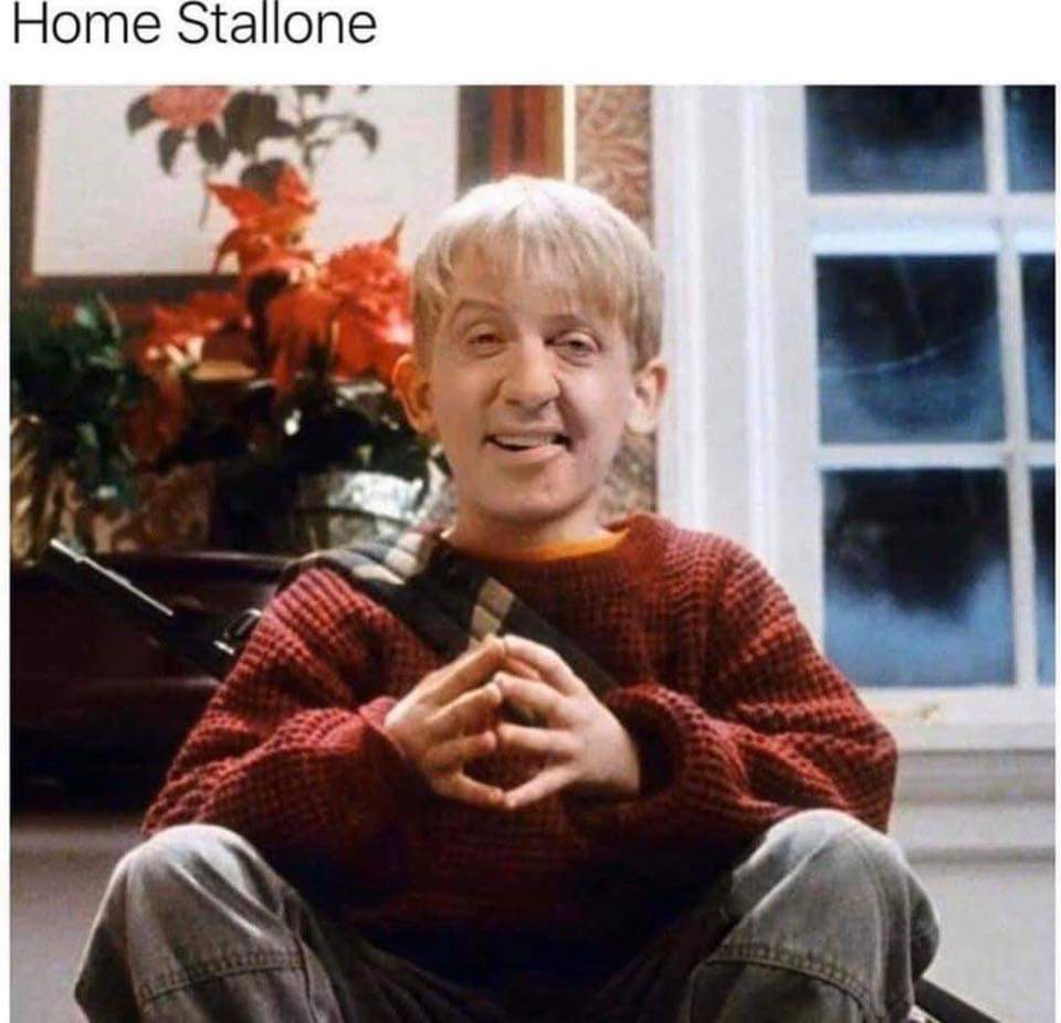 macaulay culkin home alone - Home Stallone