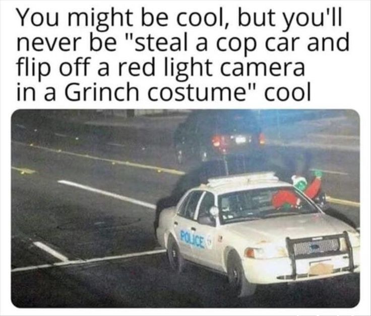 grinch memes - You might be cool, but you'll never be "steal a cop car and flip off a red light camera in a Grinch costume" cool