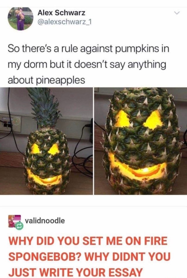 pineapple memes - Alex Schwarz 1 So there's a rule against pumpkins in my dorm but it doesn't say anything about pineapples validnoodle Why Did You Set Me On Fire Spongebob? Why Didnt You Just Write Your Essay