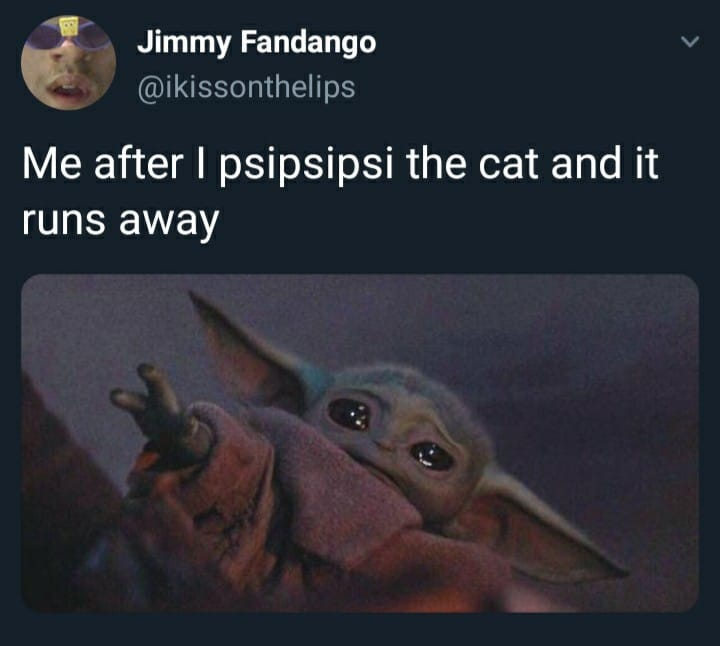 Internet meme - Jimmy Fandango Me after I psipsipsi the cat and it runs away
