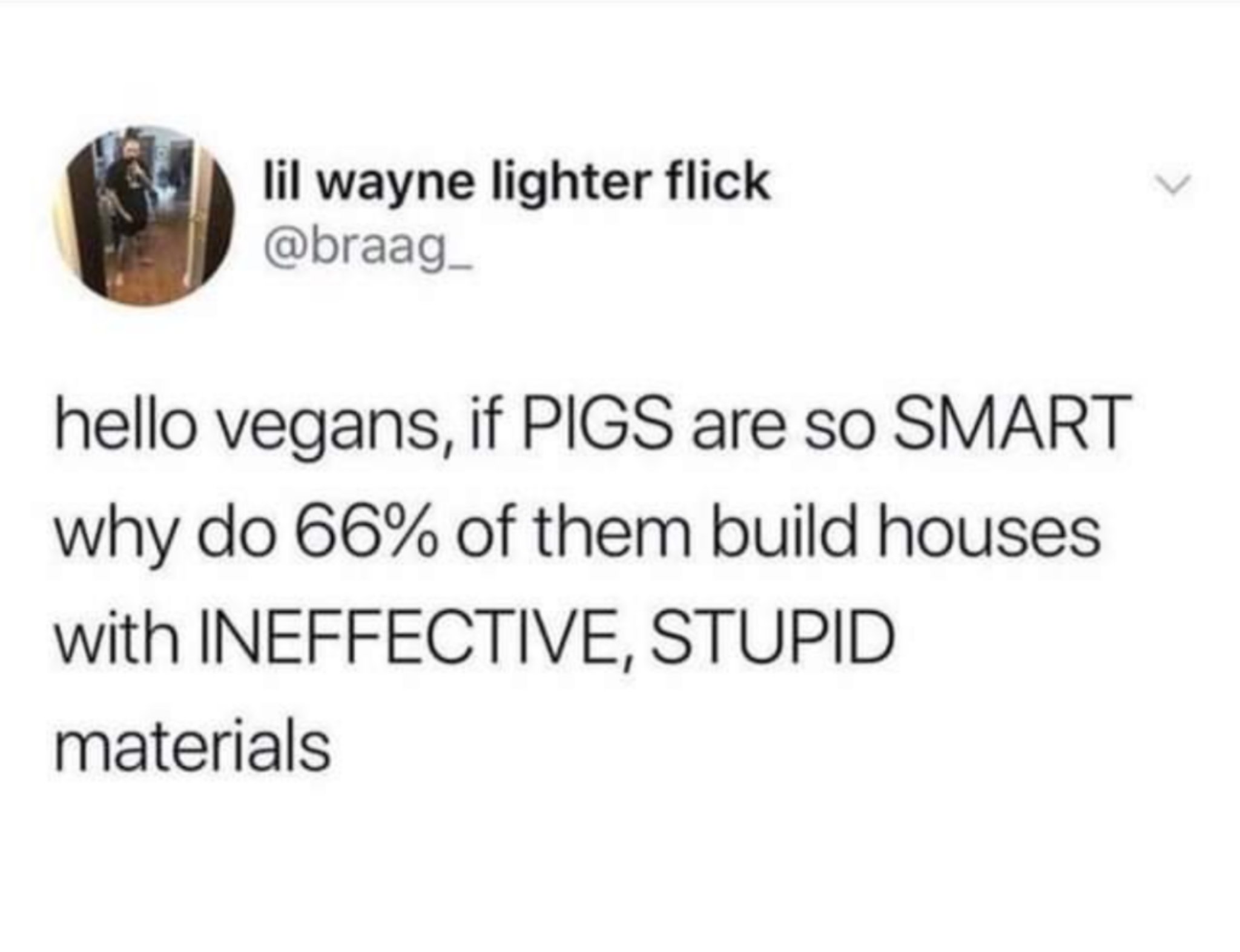 phil collins tarzan soundtrack meme - lil wayne lighter flick hello vegans, if Pigs are so Smart why do 66% of them build houses with Ineffective, Stupid materials