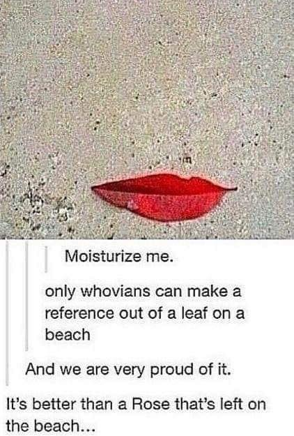 moisturize me beach - Moisturize me. only whovians can make a reference out of a leaf on a beach And we are very proud of it. It's better than a Rose that's left on the beach...