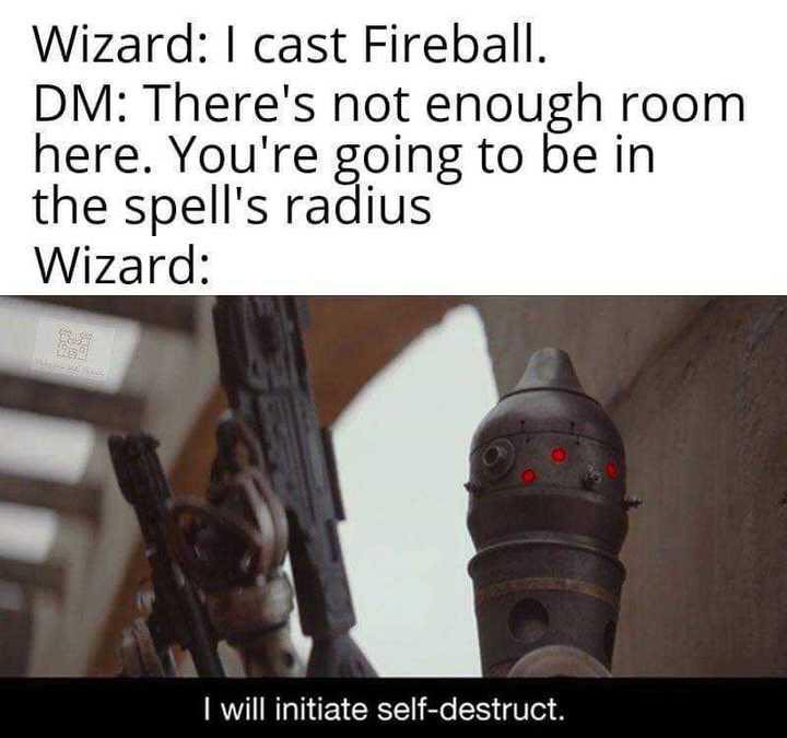 Internet meme - Wizard I cast Fireball. Dm There's not enough room here. You're going to be in the spell's radius Wizard I will initiate selfdestruct.