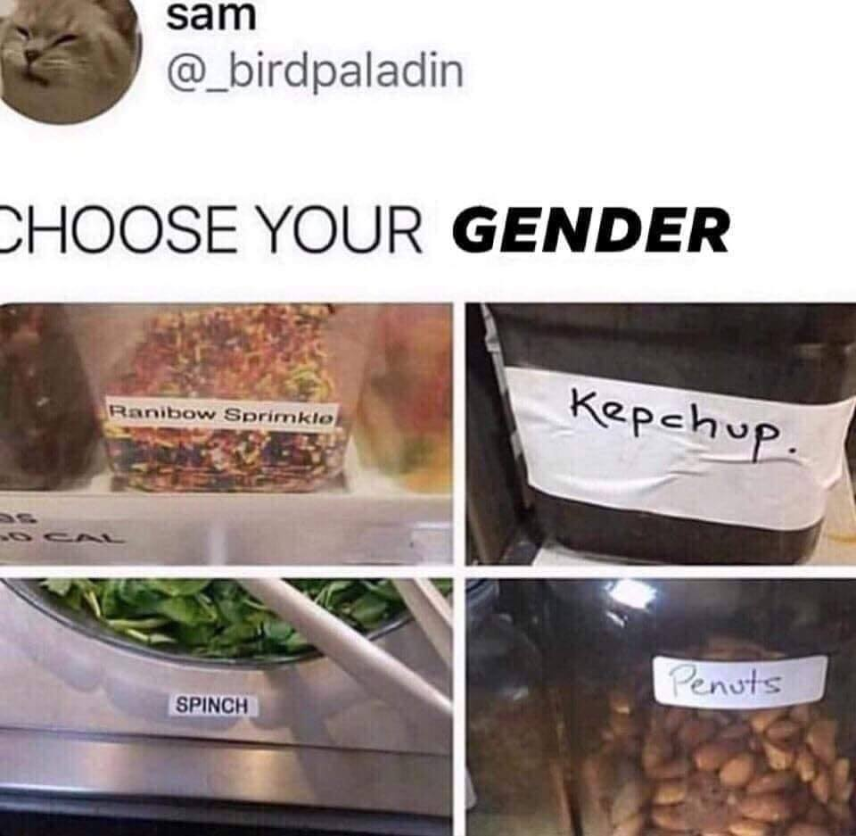 choose your fighter spinch meme - sam Choose Your Gender Ranibow Sprinkle Kepchup. Penuts Spinch