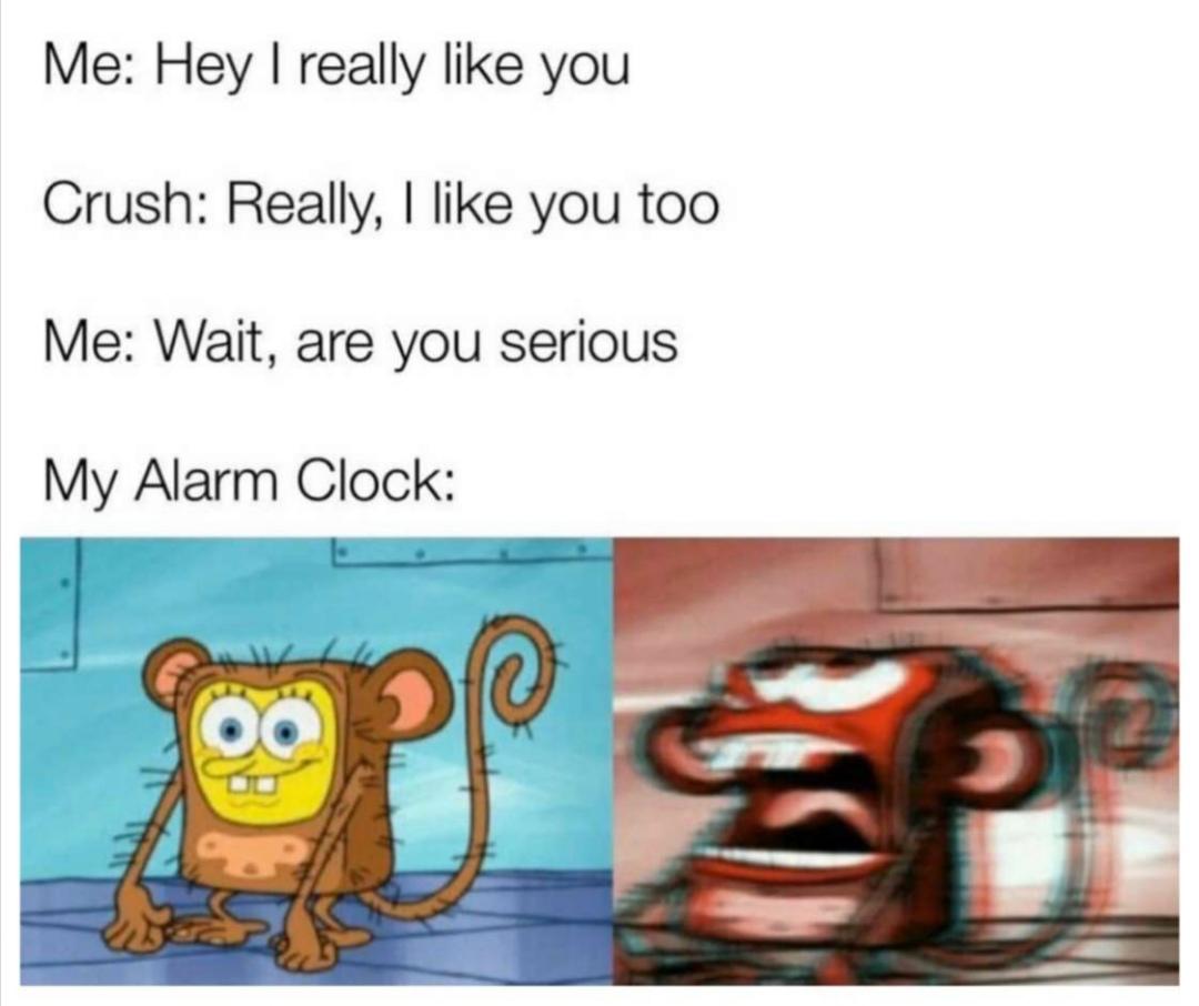 special ed kid memes spongebob - Me Hey I really you Crush Really, I you too Me Wait, are you serious My Alarm Clock