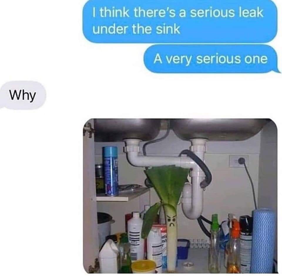 leak under sink - I think there's a serious leak under the sink A very serious one Why