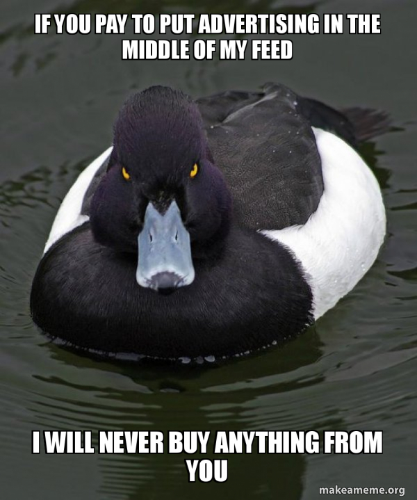 nigga duck - If You Pay To Put Advertising In The Middle Of My Feed I Will Never Buy Anything From You makeameme.org