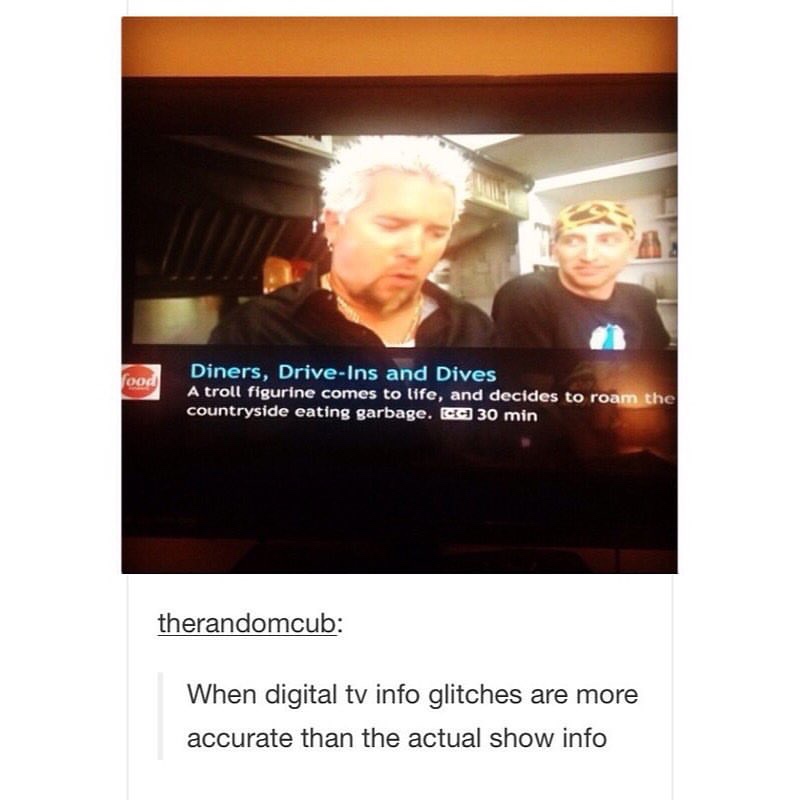 funny tv show memes - food Diners, DriveIns and Dives A troll figurine comes to life, and decides to roam the countryside eating garbage. 30 min therandomcub When digital tv info glitches are more accurate than the actual show info