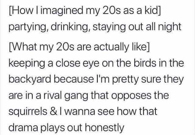 julian and emma quotes - How I imagined my 20s as a kid partying, drinking, staying out all night What my 20s are actually keeping a close eye on the birds in the backyard because I'm pretty sure they are in a rival gang that opposes the squirrels & I wan