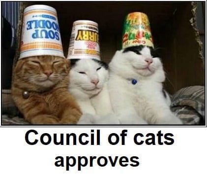 funny cats with hats - Podle Soup Council of cats approves