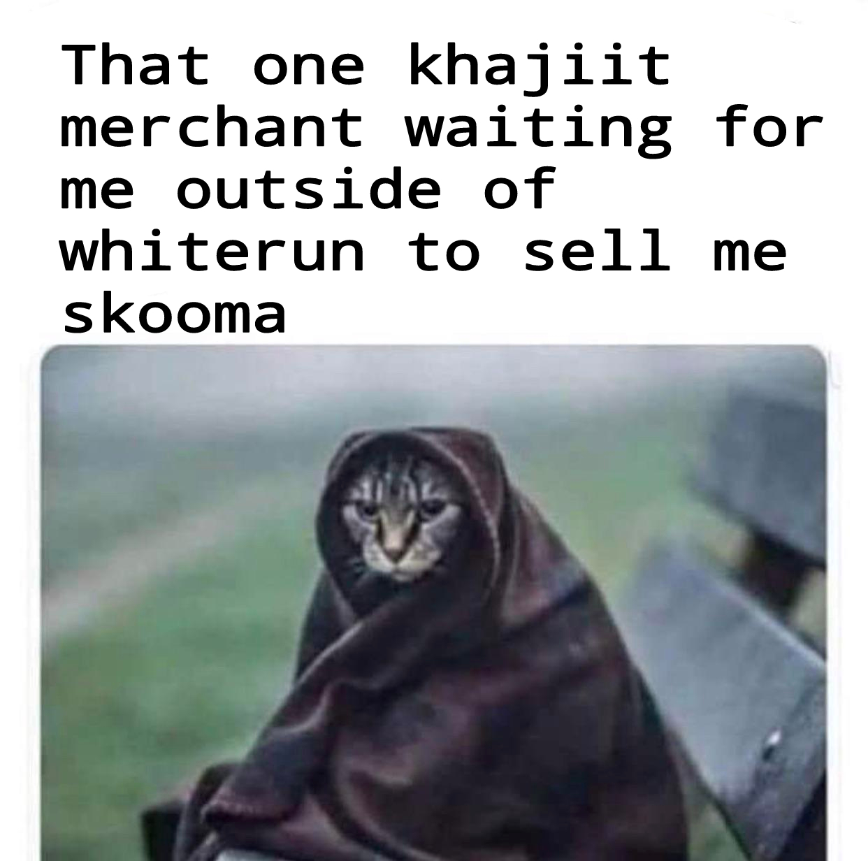 That one khajiit merchant waiting for me outside of whiterun to sell me skooma