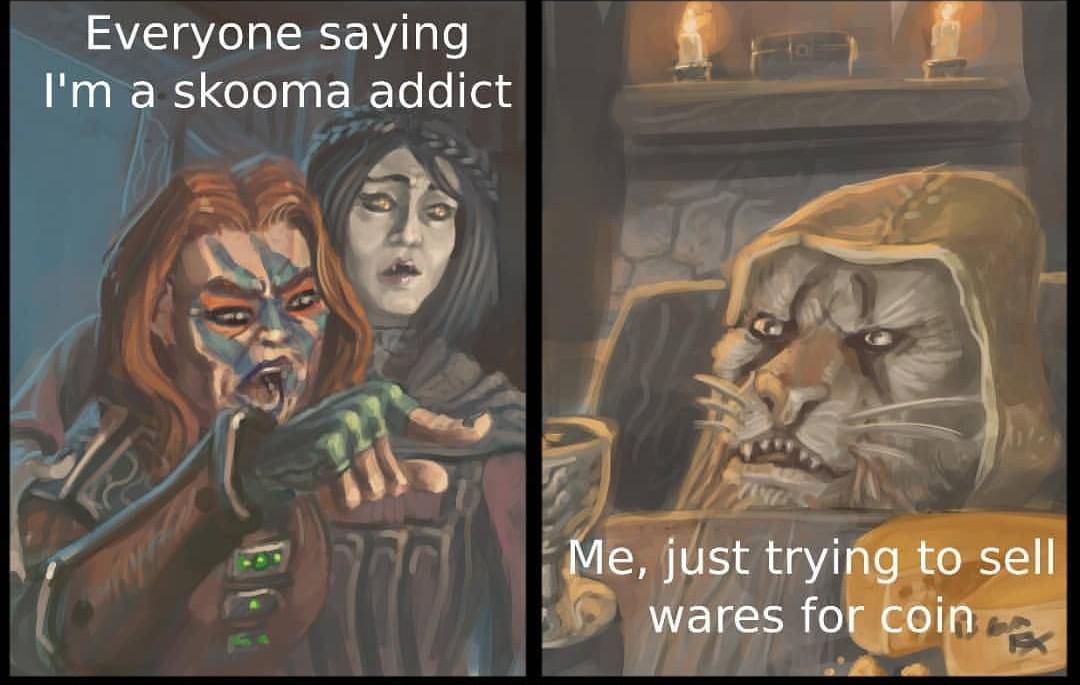 skyrim memes - Everyone saying I'm a skooma addict Me, just trying to sell wares for coin