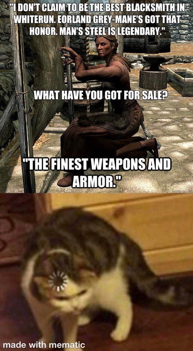 loading cat meme - "I Don'T Claim To Be The Best Blacksmithin Whiterun. Eorland GreyMane'S Got Thatst Honor. Man'S Steel Is Legendary." What Have You Got For Sale? "The Finest Weapons And Armor. made with mematic