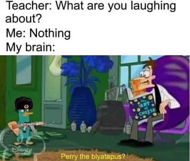 teacher what are you laughing at memes - Teacher What are you laughing about? Me Nothing My brain Perry the blyatapus?