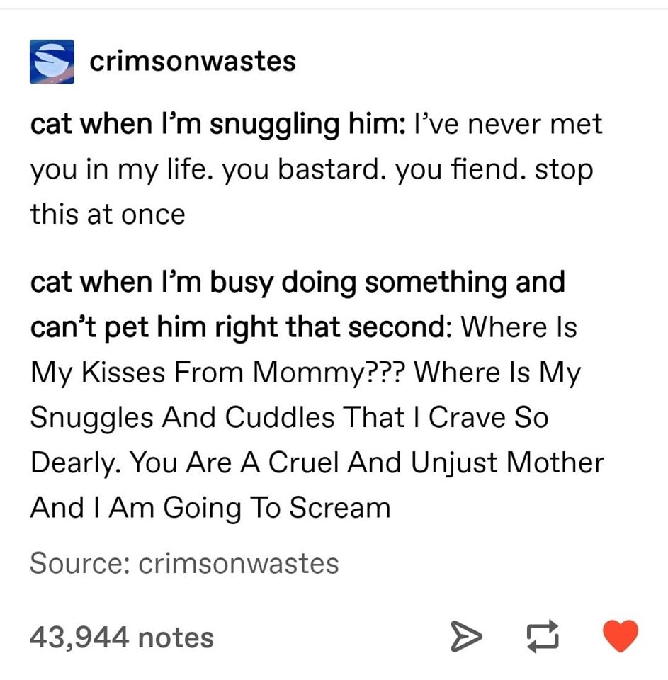 Research - crimsonwastes cat when I'm snuggling him I've never met you in my life. you bastard. you fiend. stop this at once cat when I'm busy doing something and can't pet him right that second Where is My Kisses From Mommy??? Where Is My Snuggles And Cu
