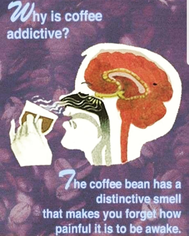 coffee addictive - Why is coffee addictive? he coffee bean has a distinctive smell that makes you forget how painful it is to be awake.