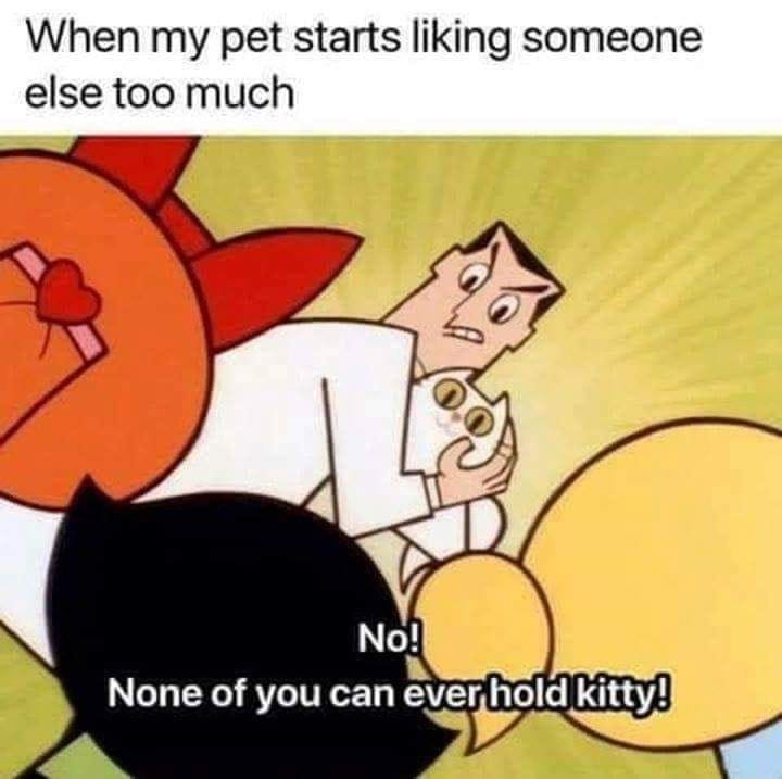 none of you can ever hold kitty - When my pet starts liking someone else too much No! None of you can ever hold kitty!