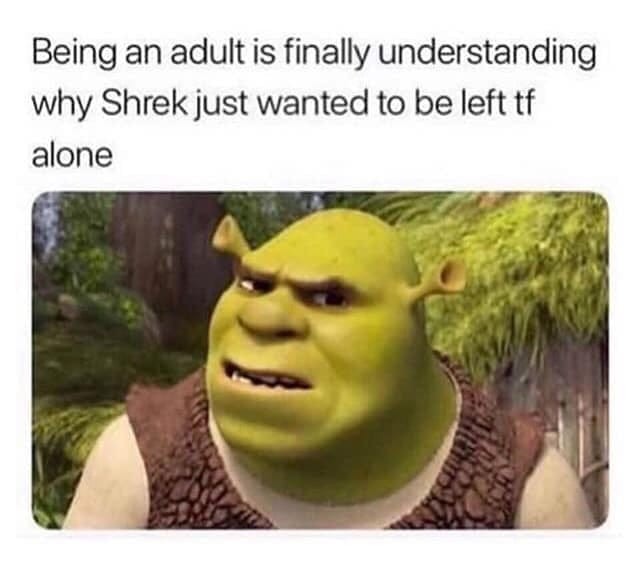 dank shrek memes - Being an adult is finally understanding why Shrek just wanted to be left tf alone