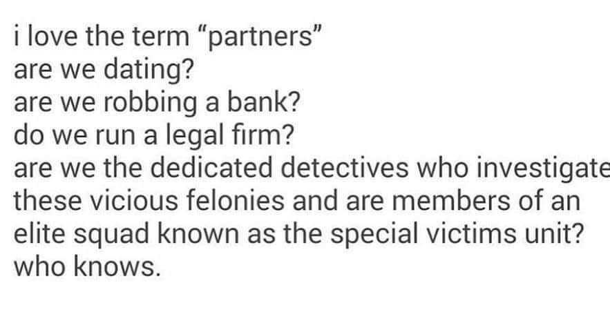 i love the term partners are we dating? are we robbing a bank? do we run a legal firm? are we the dedicated detectives who investigate these vicious felonies and are members of an elite squad known as the special victims unit? who knows.