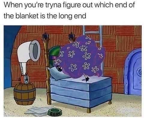 spongebob blanket meme - When you're tryna figure out which end of the blanket is the long end 0 30