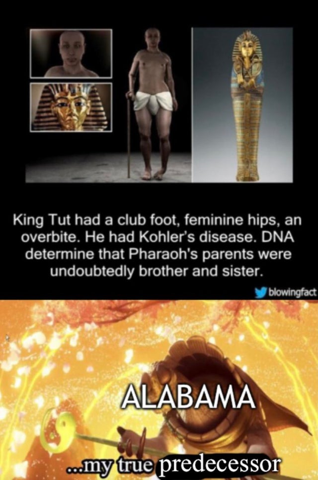 my true successor memes - King Tut had a club foot, feminine hips, an overbite. He had Kohler's disease. Dna determine that Pharaoh's parents were undoubtedly brother and sister. blowingfact Alabama ...my true predecessor