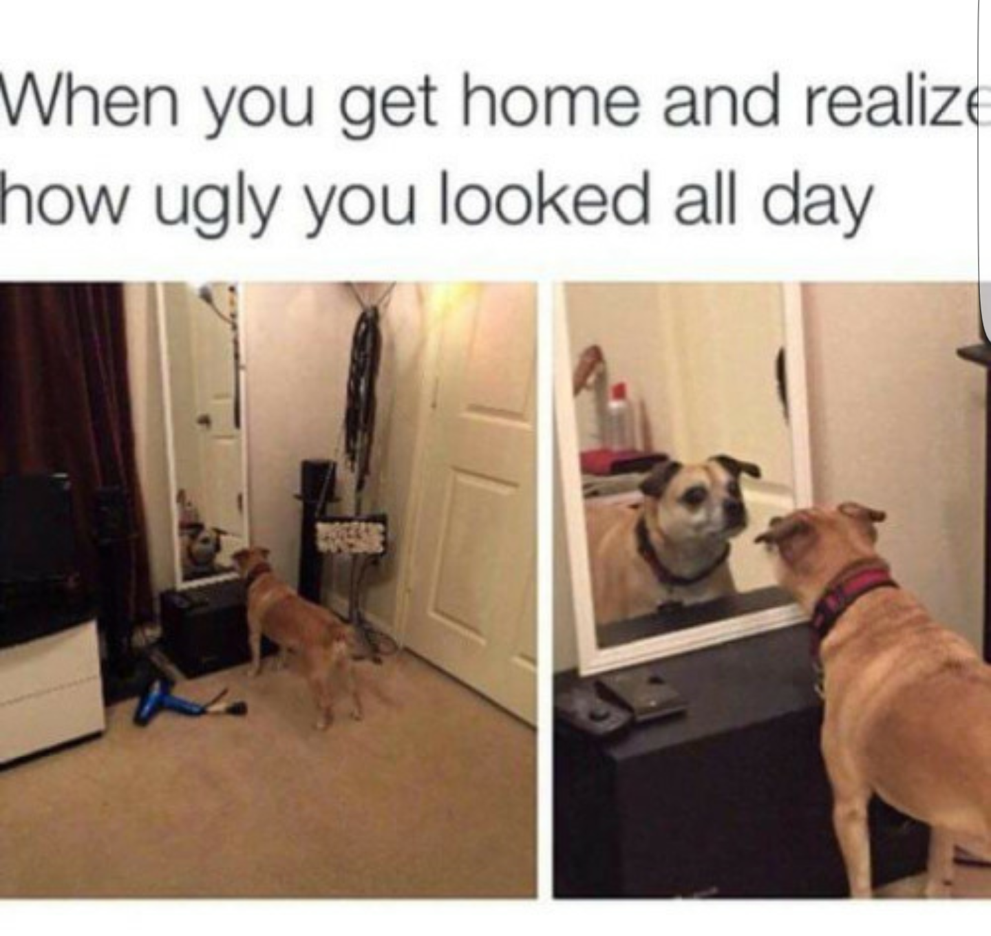 you get home and look - When you get home and realize how ugly you looked all day